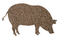 Для свиней