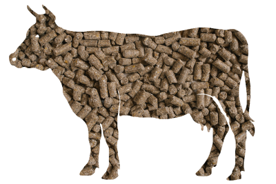 корова,мешок,комбикорм,